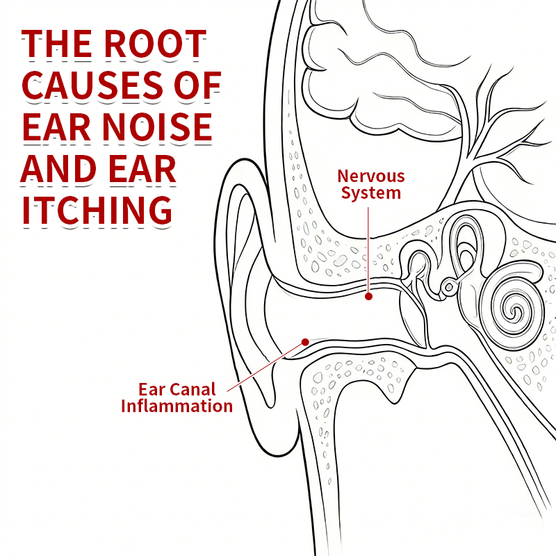 🏥FDA Certified | Curalona® Ear Canal Repair Solution to Combat Tinnitus  Helps Relieve Ringing Discomfort by Restoring the Ear Canal Environment  One Bottle · 7 Days · Designed to Deliver Noticeable Results Within 7 Days
