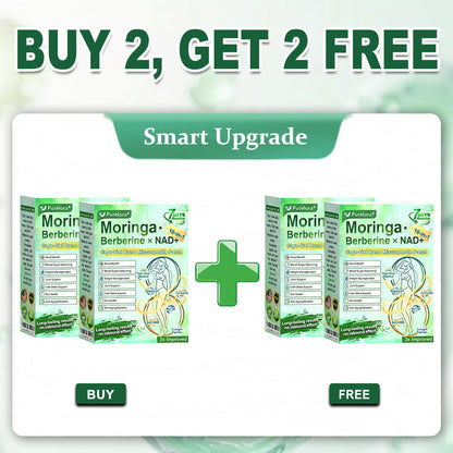 💖New Release 🎉 — Enjoy 80% OFF Today | 🇺🇸 Purelora® Moringa · Berberine × NAD+ 10-in-1 Liposomal Cryo-Gel Nano Microneedle Firming Patch ✅ Advanced Cryo-Metabolic Support: Freeze Fat, Firm Skin, & Flush Edema Instantly.