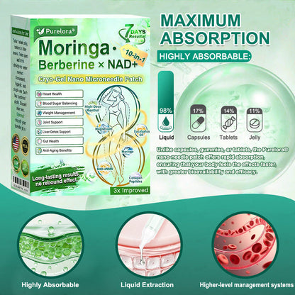 💖New Release 🎉 — Enjoy 80% OFF Today | 🇺🇸 Purelora® Moringa · Berberine × NAD+ 10-in-1 Liposomal Cryo-Gel Nano Microneedle Firming Patch ✅ Advanced Cryo-Metabolic Support: Freeze Fat, Firm Skin, & Flush Edema Instantly.